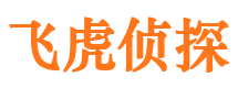 蔡甸市私家侦探